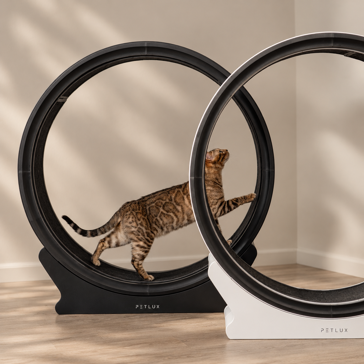 De voordelen van een kattenloopwiel