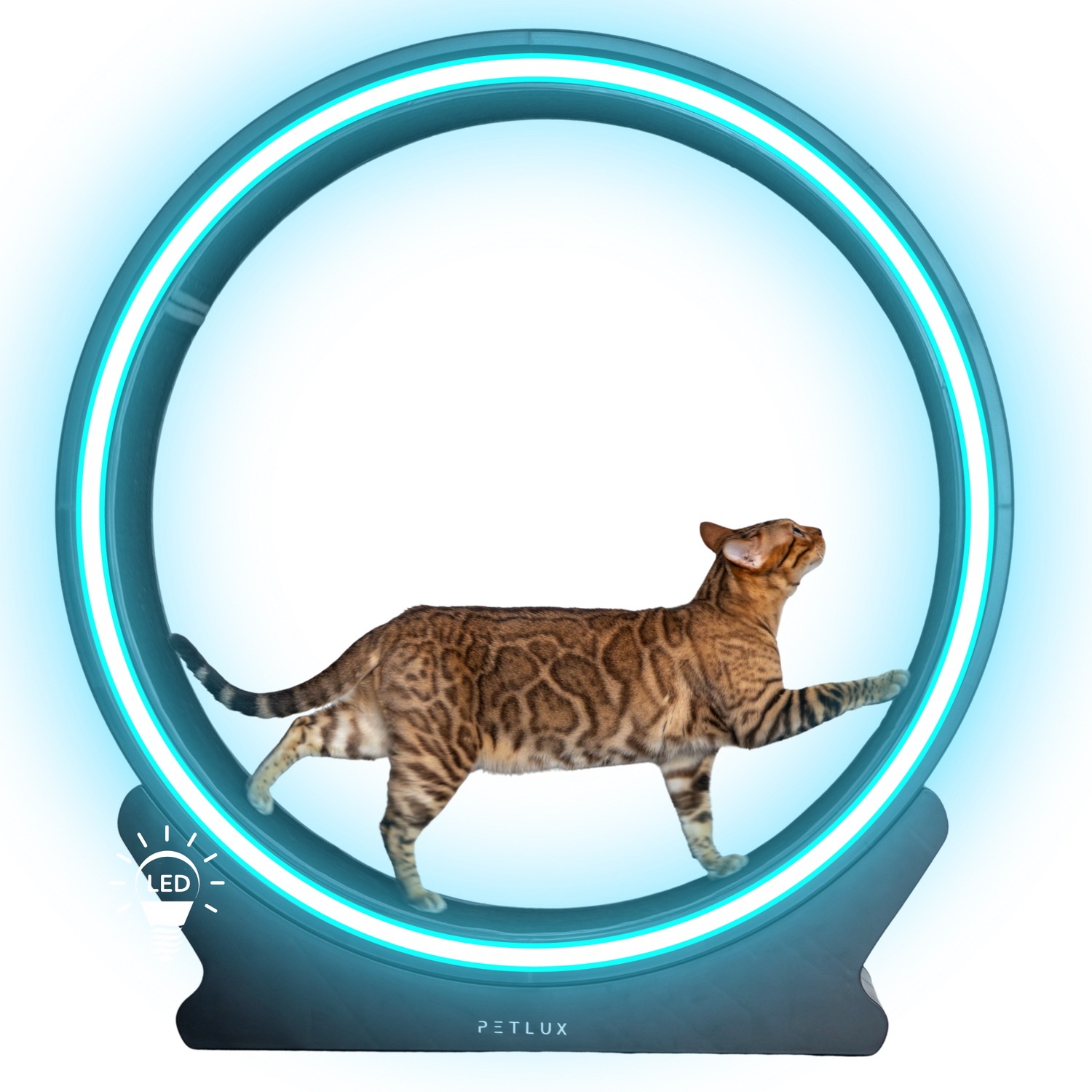 Loopwiel V2
