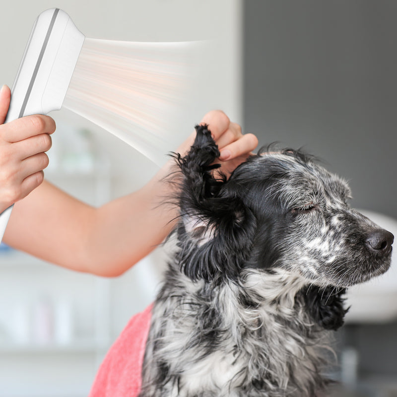 Wassergebläse / Haartrockner für Hunde und Katzen