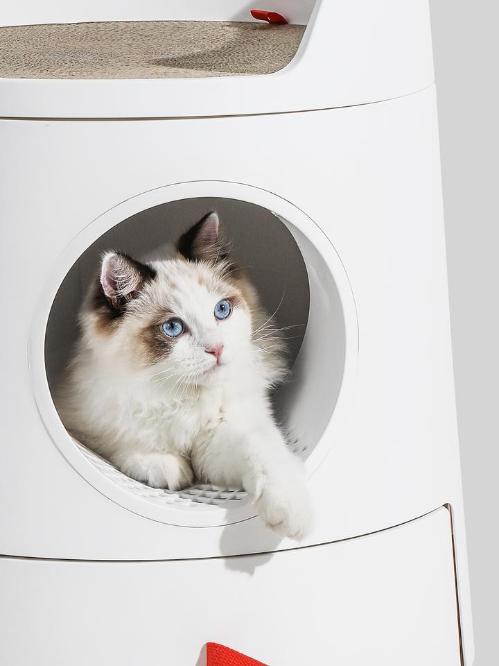 Design Katzentoilette Schloss 2-in-1